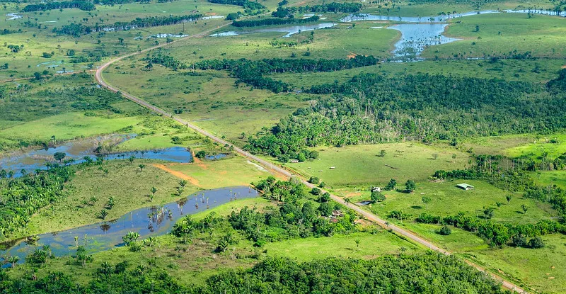How Does the Land Use Act Affect Forest Reserves?
