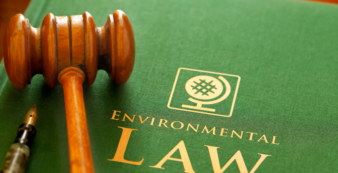 Environmental Law and Climate Change