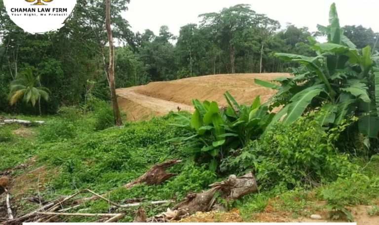 How are Land Tenures and Customary Land Tenure Systems Understood in Nigeria? How are Land Tenures and Customary Land Tenure Systems Understood in Nigeria?
