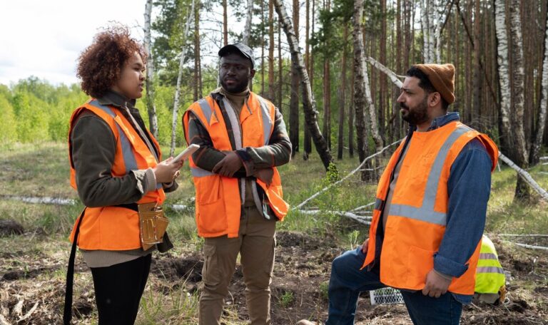 How do Land Surveyors Contribute to Determining Land Boundaries in Nigeria?
