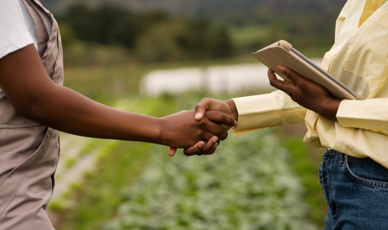How to Transfer Land Ownership and Land Document in Nigeria