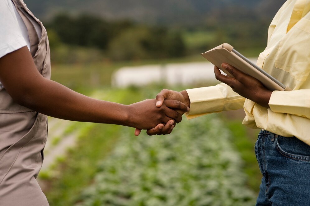How to Transfer Land Ownership and Land Document in Nigeria