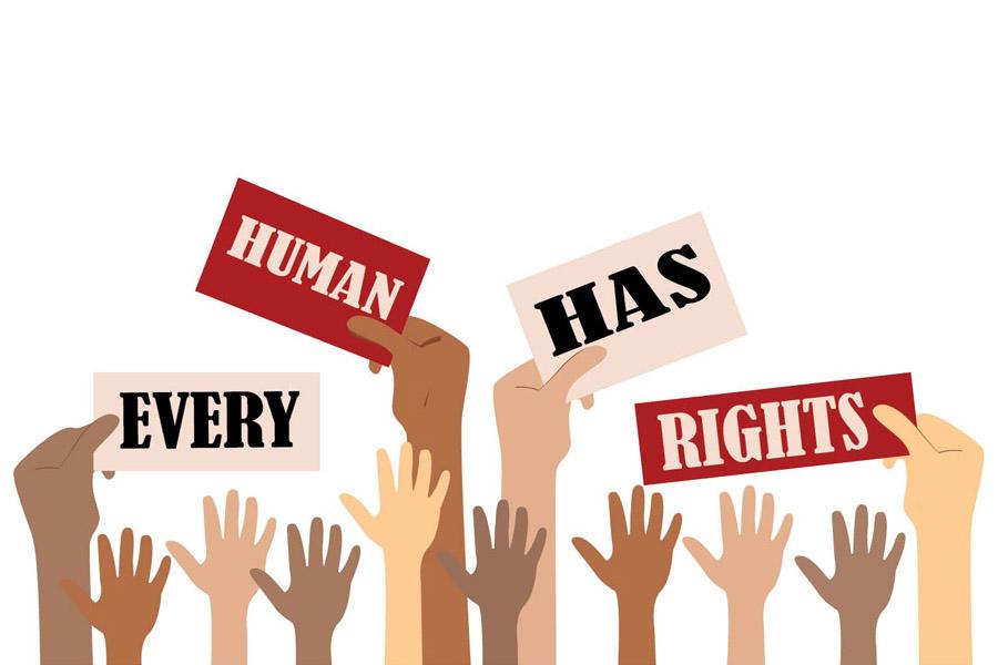The Role Of The Judiciary In Nigerian Democracy