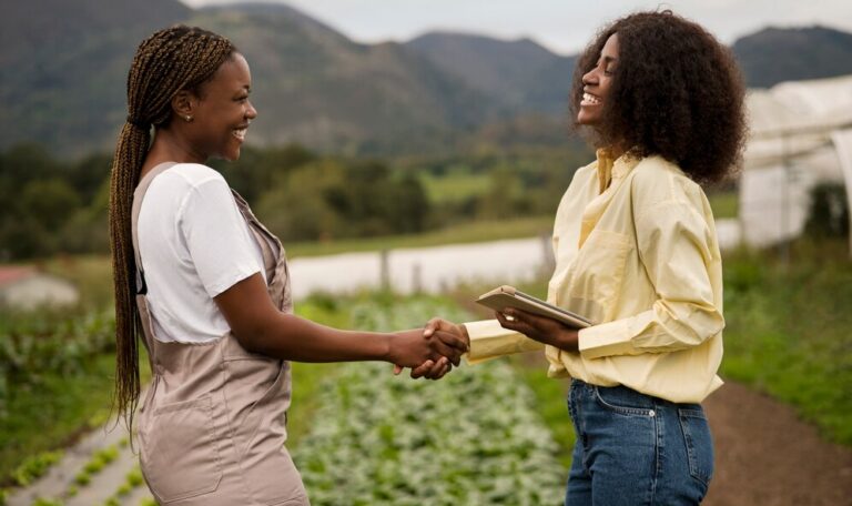 What Proposed Reforms Aim to Improve Land Titles and Ownership in Nigeria