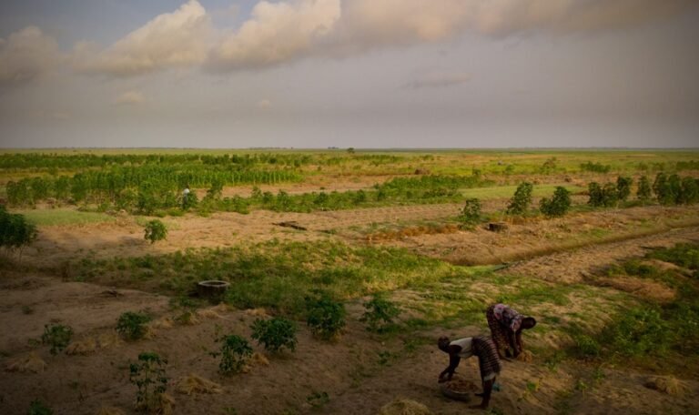 The Legal Implications of Selling a Family Land Without Everyone's Consent