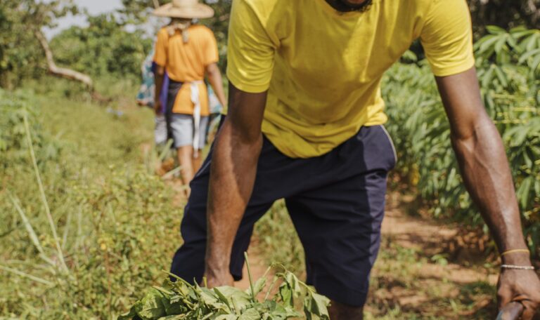 The Challenges of Implementing the Land Use Act: A Deep Dive into Nigeria’s Land Administration The Challenges of Implementing the Land Use Act: A Deep Dive into Nigeria’s Land Administration