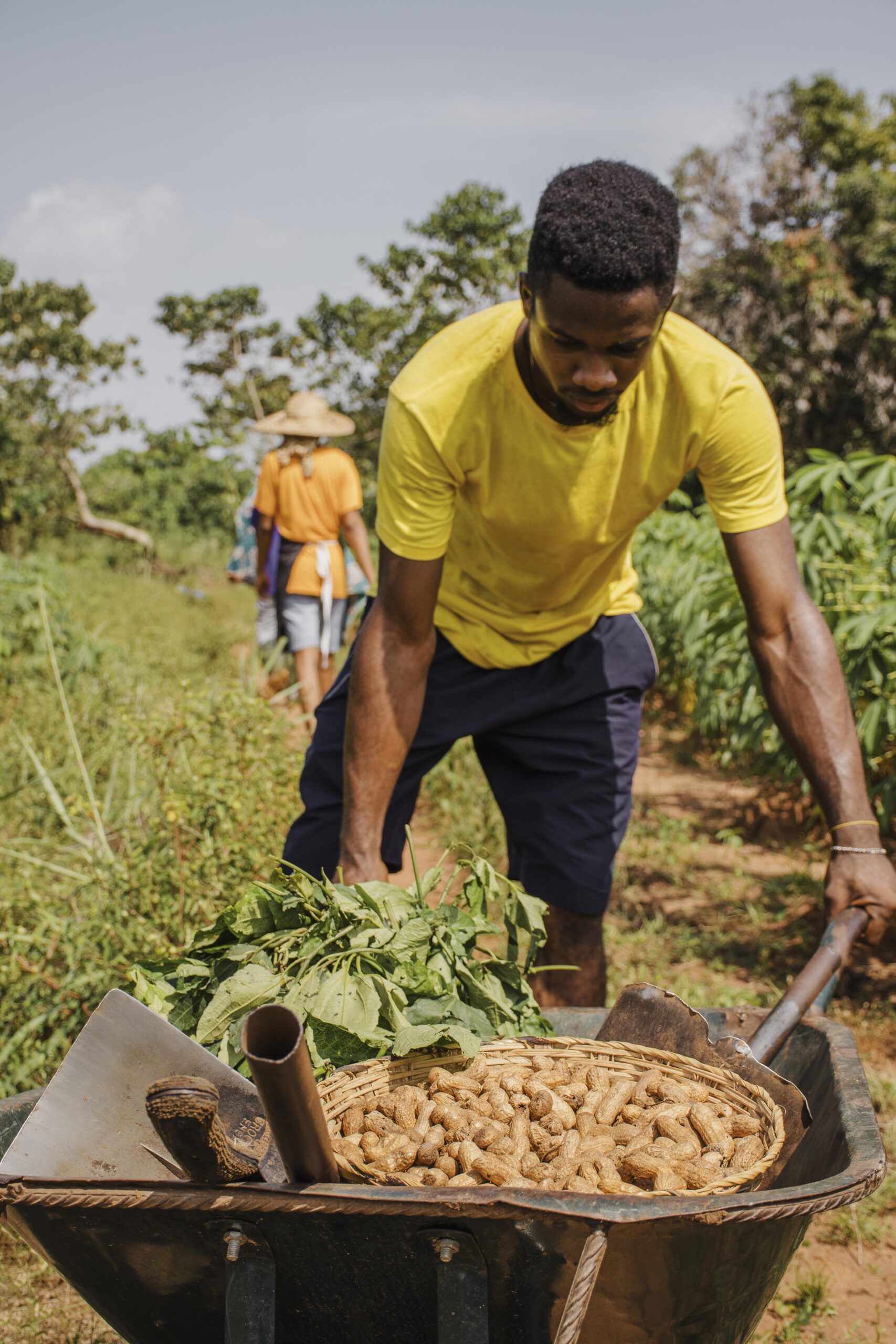 The Challenges of Implementing the Land Use Act: A Deep Dive into Nigeria’s Land Administration