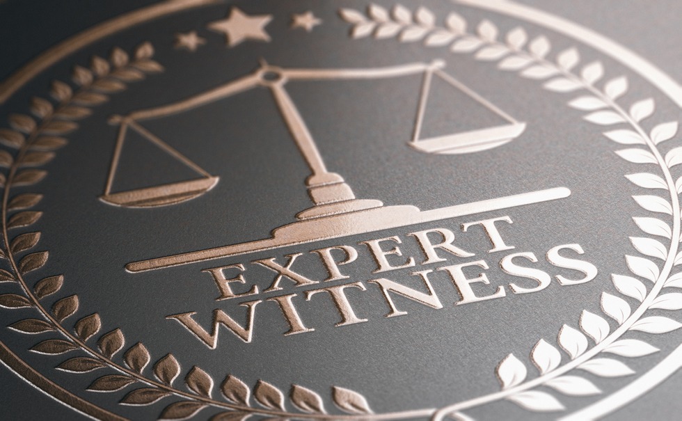Expert Witnesses In Nigeria Court Proceeding
