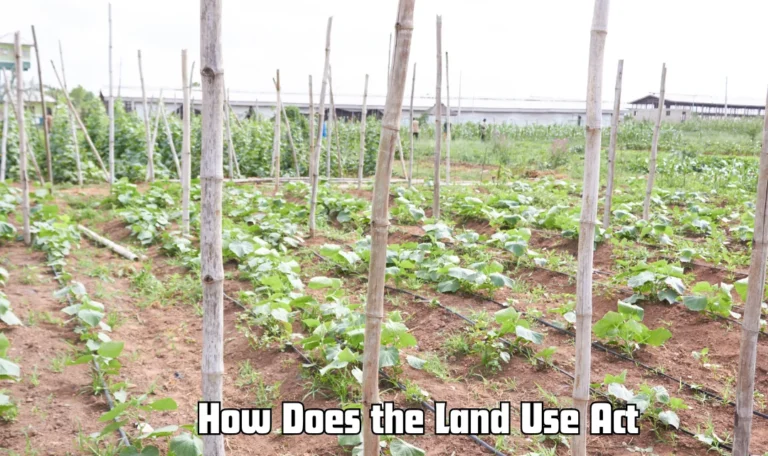 How Does the Land Use Act Address Customary Land Rights? How Does the Land Use Act Address Customary Land Rights?