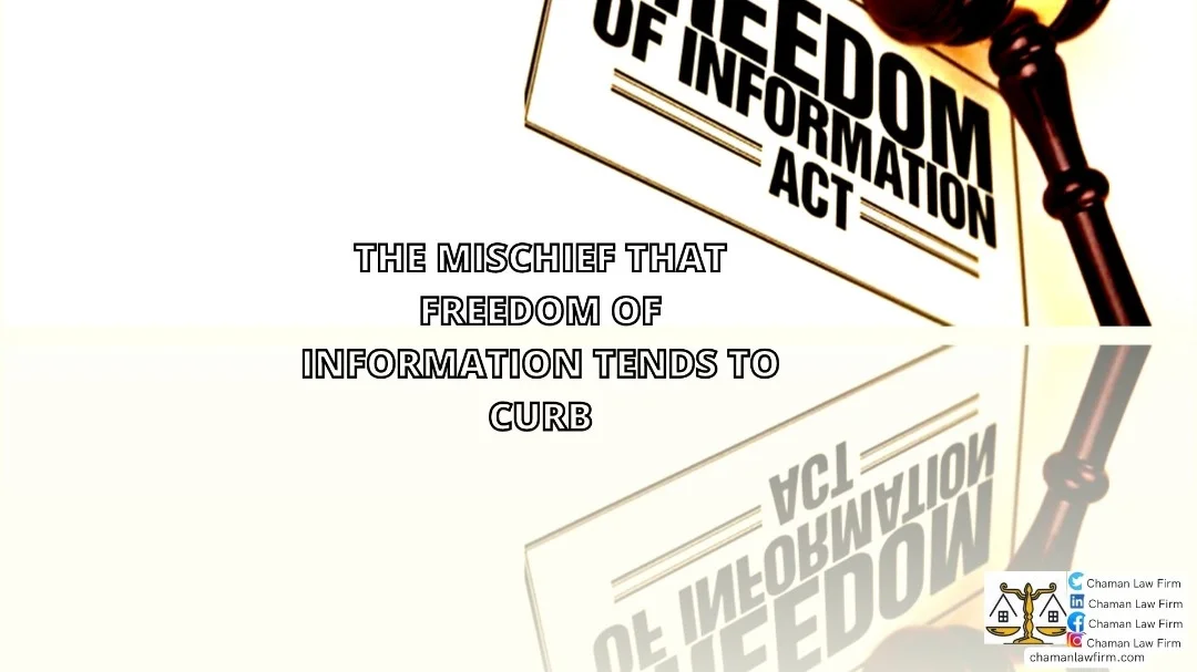 THE MISCHIEF THAT FREEDOM OF INFORMATION TENDS TO CURB
