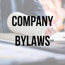 Drafting Company Bylaws in Nigeria: A Comprehensive Guide Bylaws