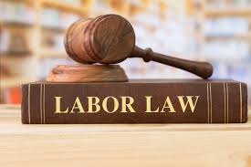5 Importance Of A Labor Law Expert in Nigeria nigeria