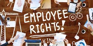 5 Proven Importance of An Employee Rights Lawyer in Nigeria employee rights