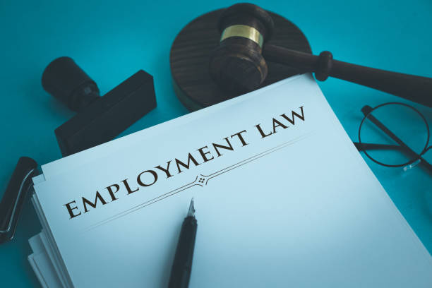 Employment Law 7 Compliance for Nigerian Businesses: A Legal Perspective compliance