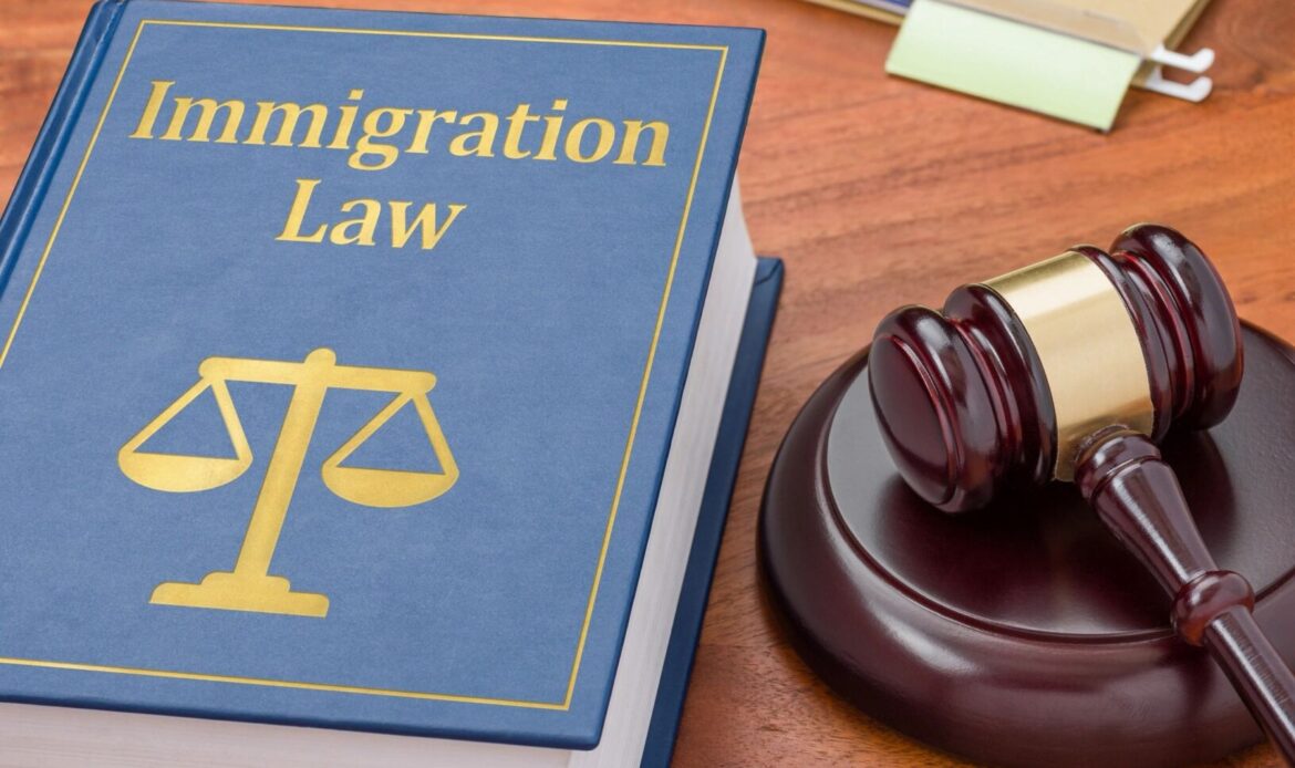 Immigration Law Service