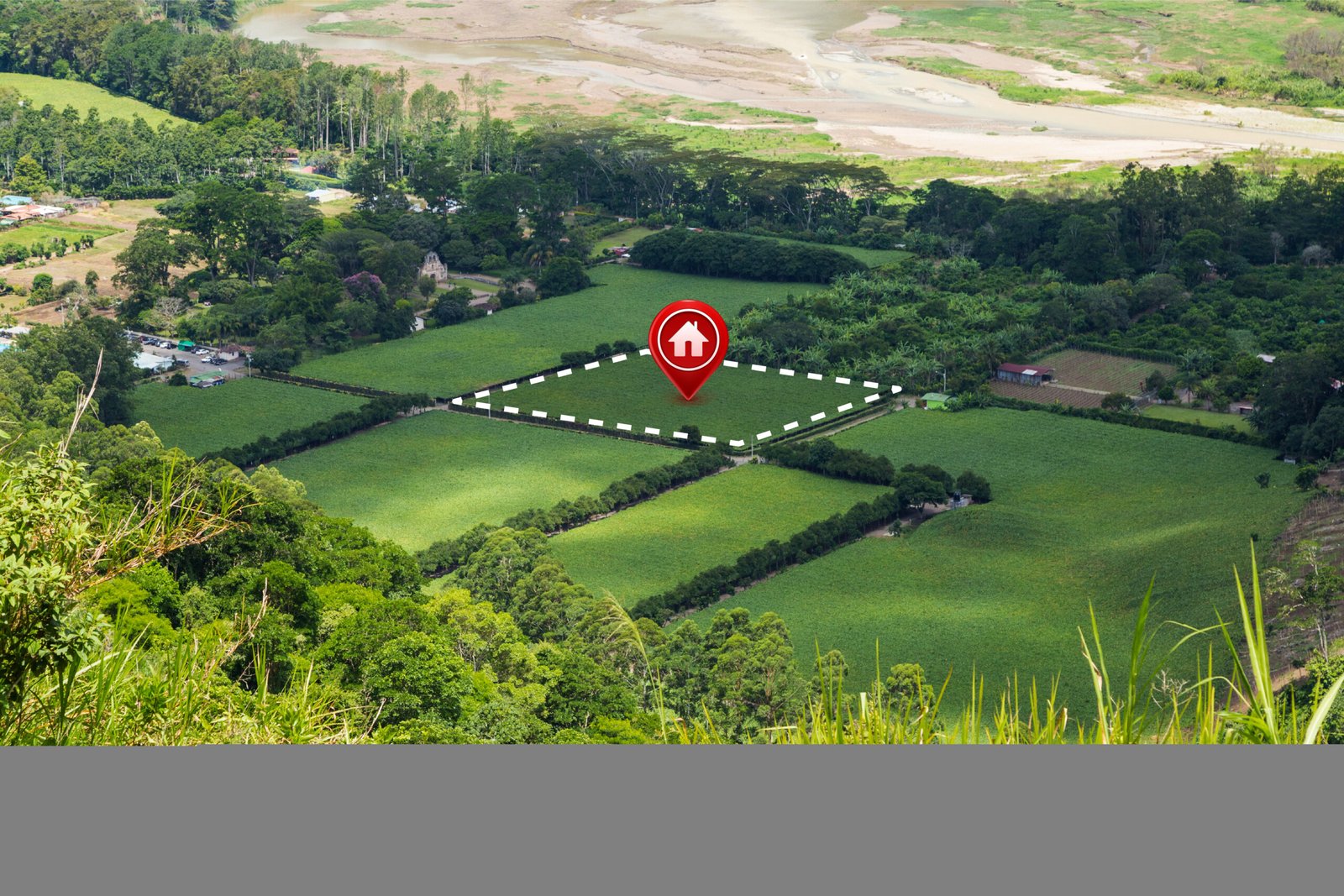 Avoiding Disputed Land in Ogun State: A Buyer’s Guide to Safe Property Deals