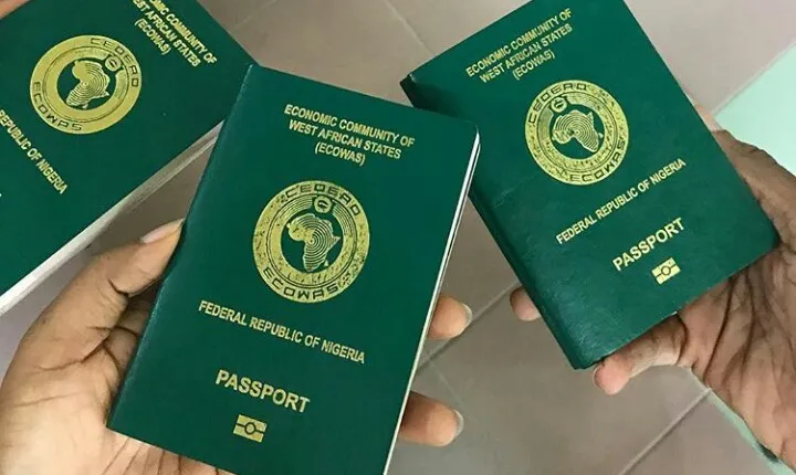 Nigerian Visa Requirements and Legal Guide | Chaman Law Firm